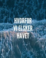 Der er noget helt særligt ved havet 💙

Måske er det lyden.
Måske farven.
Måske følelsen af ro, frihed og nærvær.

Men forskning peger faktisk også på, at kroppen og hjernen reagerer positivt, når vi er tæt på vand 🌊

Mindre stress.
Mere ro.
Dybere vejrtrækning.
Og følelsen af lige at lande lidt mere i sig selv ✨

Det kaldes også “The Blue Mind Effect” — og ærligt… vi forstår det godt.

GO Beauty handler ikke kun om skønhed.
Men også om velvære, balance og følelsen af at have det godt i både krop og sind 💙

#gobeauty #wellbeing #bluemind #oceantherapy #selfcare